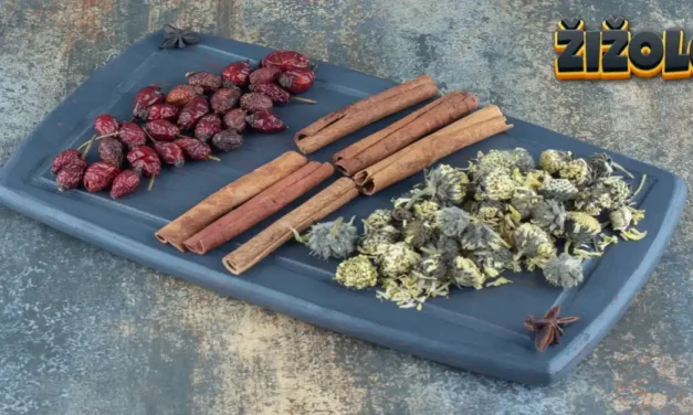 žižole: The Complete Guide to Jujube Fruit and Betony Herb Benefits