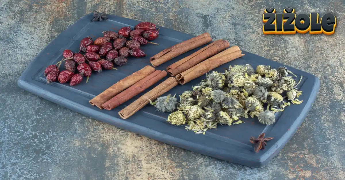 žižole: The Complete Guide to Jujube Fruit and Betony Herb Benefits