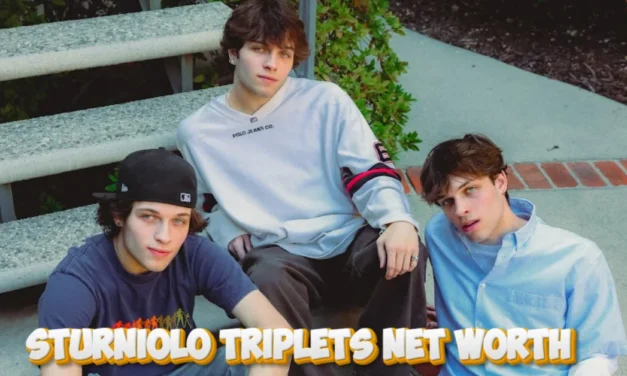 Sturniolo Triplets Net Worth: How Much Money Do They Really Make?