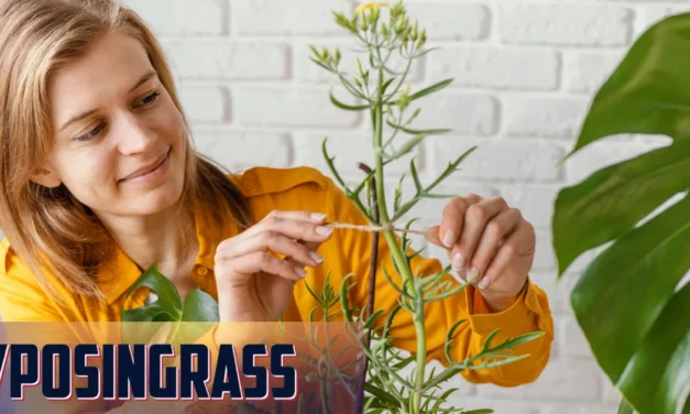 Lyposingrass: The Natural Solution for Health