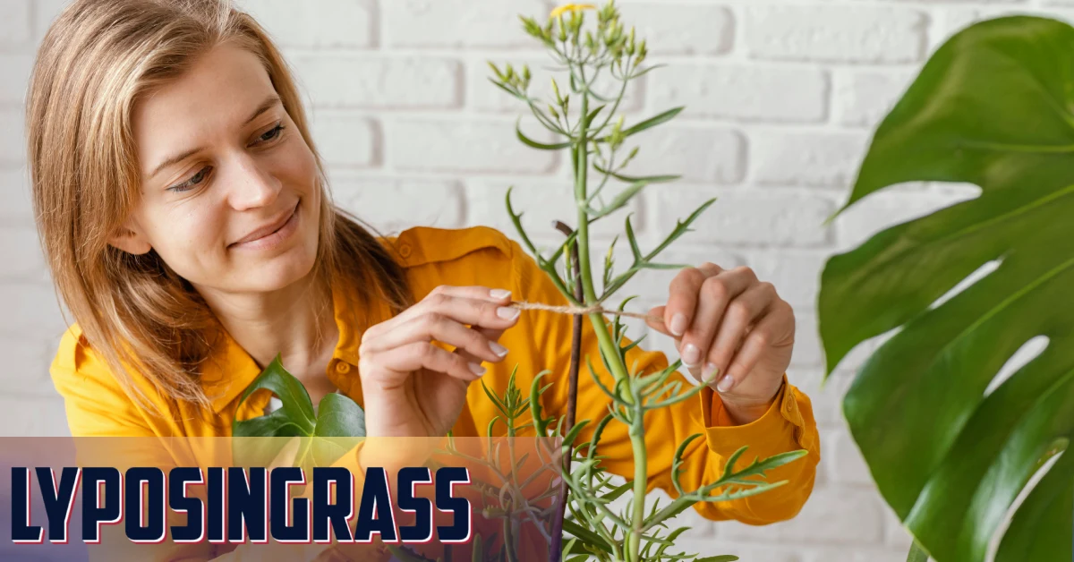 Lyposingrass: The Natural Solution for Health