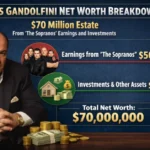 James Gandolfini net worth breakdown showing $70 million estate from The Sopranos