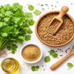 Fresh koriandri leaves and coriander seeds showing nutritional benefits