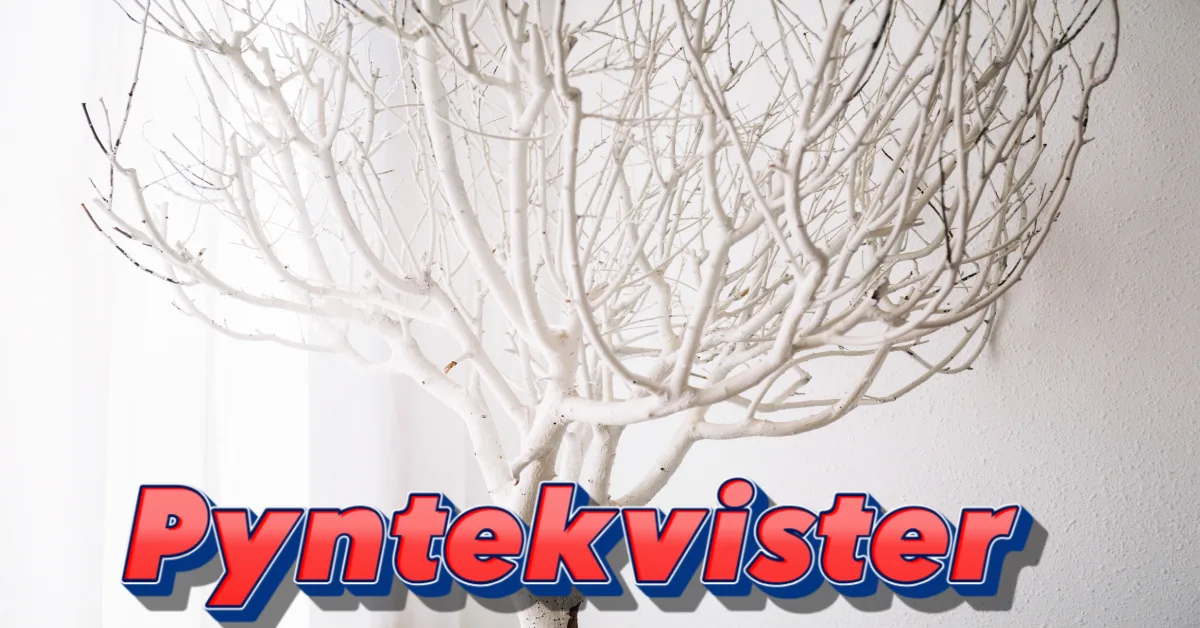 White painted pyntekvister decorative branches arranged against light background with red and blue pyntekvister text overlay